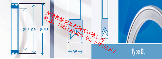 GMNDL55X68X4油封圖紙