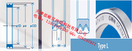 GMNL85X100X10油封圖紙